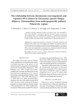 The relationship between chromosome rearrangements and
