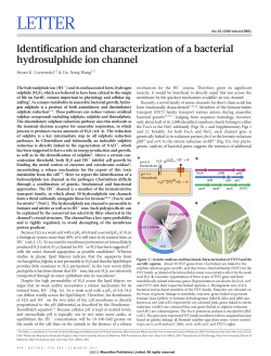 Identification and characterization of a bacterial hydrosulfide ion
