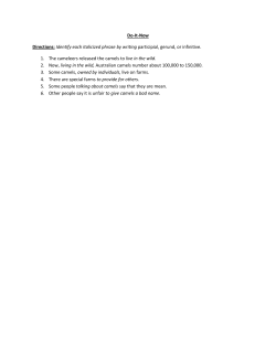 Do-It-Now Directions: Identify each italicized phrase by writing