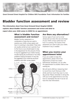 Bladder function assessment and review