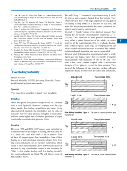 Flow Boiling Instability