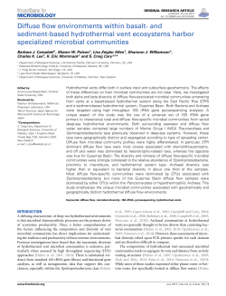 Diffuse flow environments within basalt- and sediment