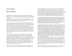 Lily`s Chickens - St. Olaf Pages