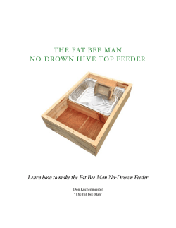 the fat bee man no drown hive top feeder