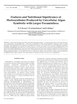 Full text in pdf format