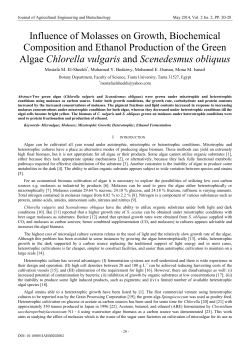 Influence of Molasses on Growth, Biochemical Composition and