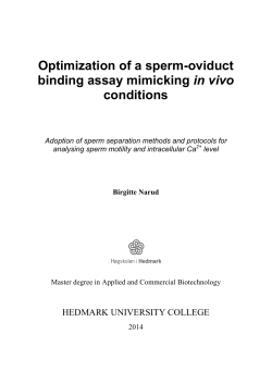 Optimization of a sperm-oviduct binding assay mimicking in vivo