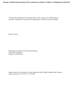 The Dlx gene complement of the leopard shark, Triakis