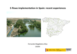 E-flows implementation in Spain: recent experiences