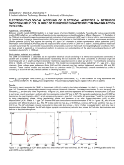 Abstract PDF