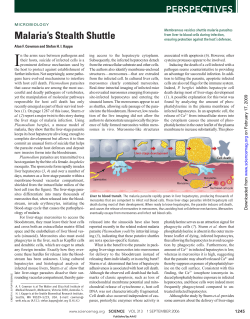 Malaria`s Stealth Shuttle