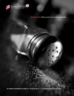 Get the lead out. What you don`t see can harm your family. An