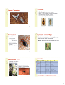 Insect Parasitism - University of Florida