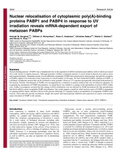 Nuclear relocalisation of cytoplasmic poly(A)
