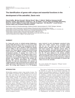 The identification of genes with unique and essential