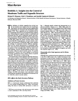 Brefeldin A: insights into the control of membrane traffic and
