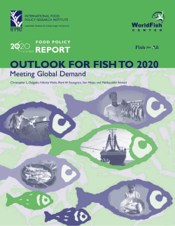 Outlook for Fish to 2020: Meeting Global Demand