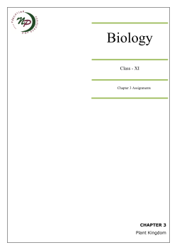 Chapter 3 (Plant Kingdom)
