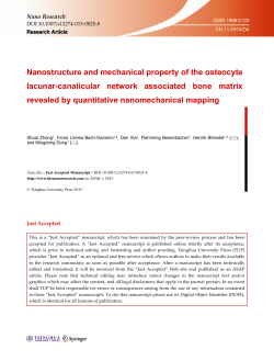 Nanostructure and mechanical property of the