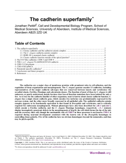 The cadherin superfamily