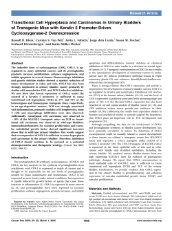 Transitional Cell Hyperplasia and Carcinomas in Urinary Bladders