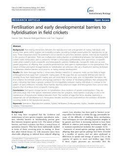 Fertilisation and early developmental barriers to hybridisation in field