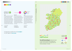 The LGBTIreland Report