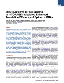 SKAR Links Pre-mRNA Splicing to mTOR/S6K1