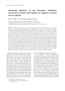 Phenotypic plasticity of the threespine stickleback Gasterosteus