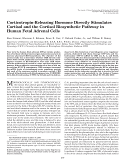Corticotropin-Releasing Hormone Directly Stimulates Cortisol and