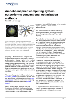 Amoeba-inspired computing system outperforms
