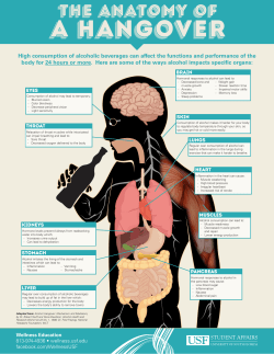 High consumption of alcoholic beverages can affect the functions