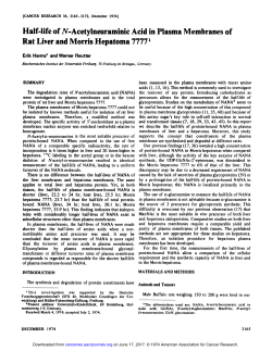 Half-life of N-Acetylneuraminic Acid in Plasma