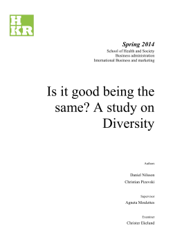 Is it good being the same? A study on Diversity