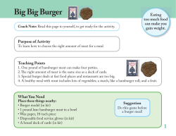Big Big Burger