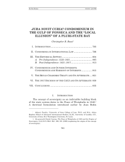 Jura Novit Curia? Condominium in the Gulf of Fonseca and the