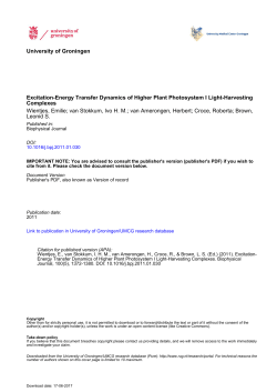 Excitation-Energy Transfer Dynamics of Higher Plant Photosystem I