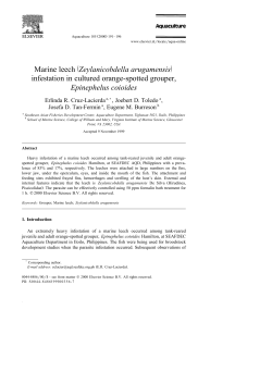 ž / Marine leech Zeylanicobdella arugamensis