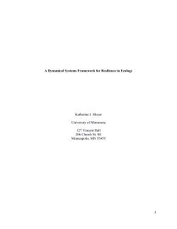 1 A Dynamical Systems Framework for
