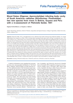 Blood flukes (Digenea: Aporocotylidae) infecting body cavity of