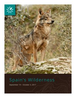 Spain wildlife tours brochure with itinerary and