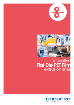 Flat Die PET Film