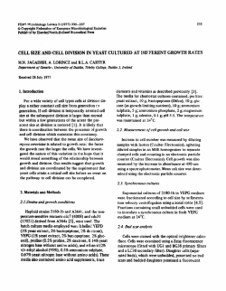 Cell size and cell division in yeast cultured at different growth rates