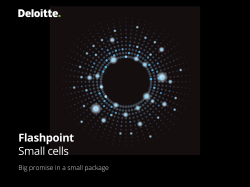 Flashpoint Small cells