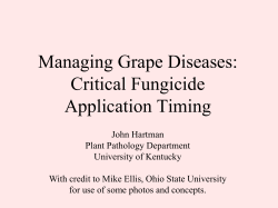 Managing Grape Diseases: Critical Fungicide Application Timing