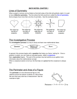 The Investigative Process
