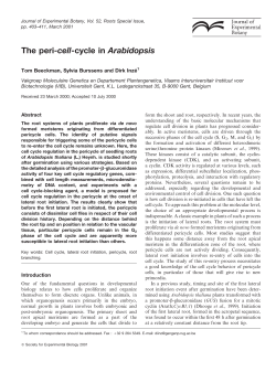 The peri-cell-cycle in Arabidopsis