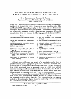 NUCLEIC ACID HOMOLOGIES BETWEEN THE E. L. BIBERSTEIN