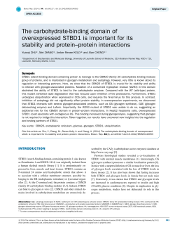 The carbohydrate-binding domain of overexpressed STBD1 is