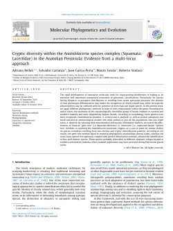 Cryptic diversity within the Anatololacerta species complex